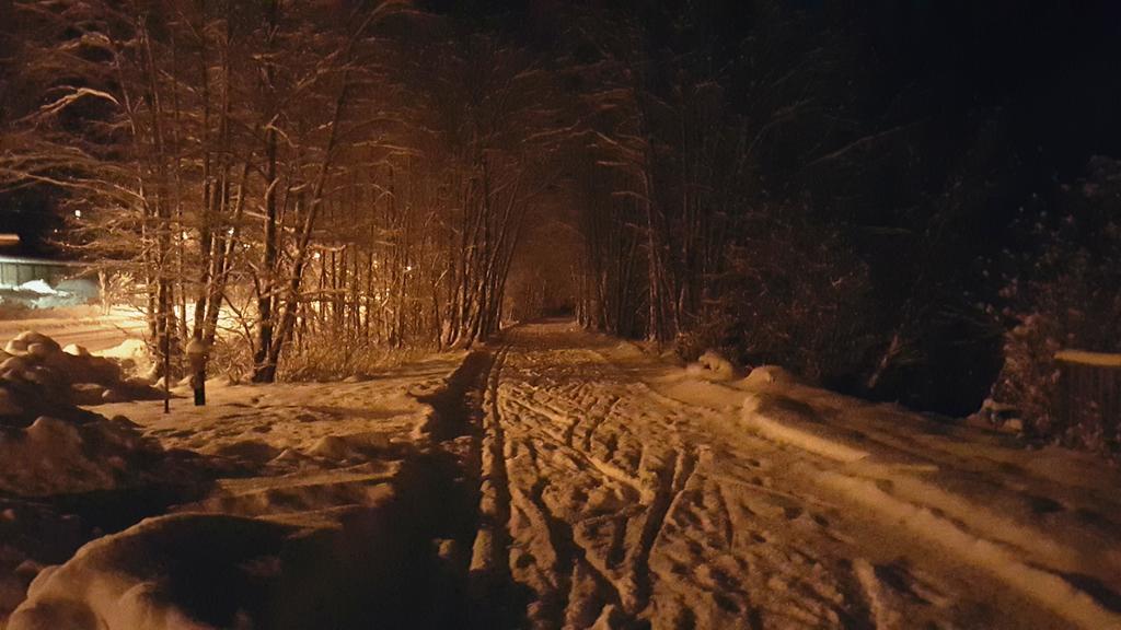 Ferienhaus Gundi Pettneu am Arlberg Eksteriør bilde